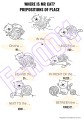 PREPOSITIONS OF PLACE WORKSHEETS.jpg
