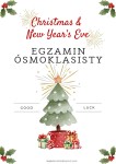 CHRISTMAS E8 EXAM 2023