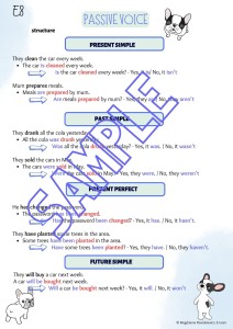 E8 PASSIVE VOICE
