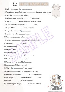 E8 WHAT'S THE MISSING WORD