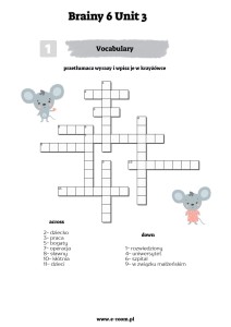 Brainy 6 unit 3