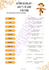 E8 AUTUMN WORKSHEETS