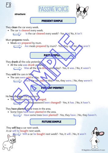 E8 passive voice.jpg