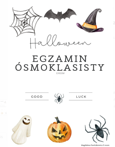 Zrzut ekranu 2024-10-06 163114.png